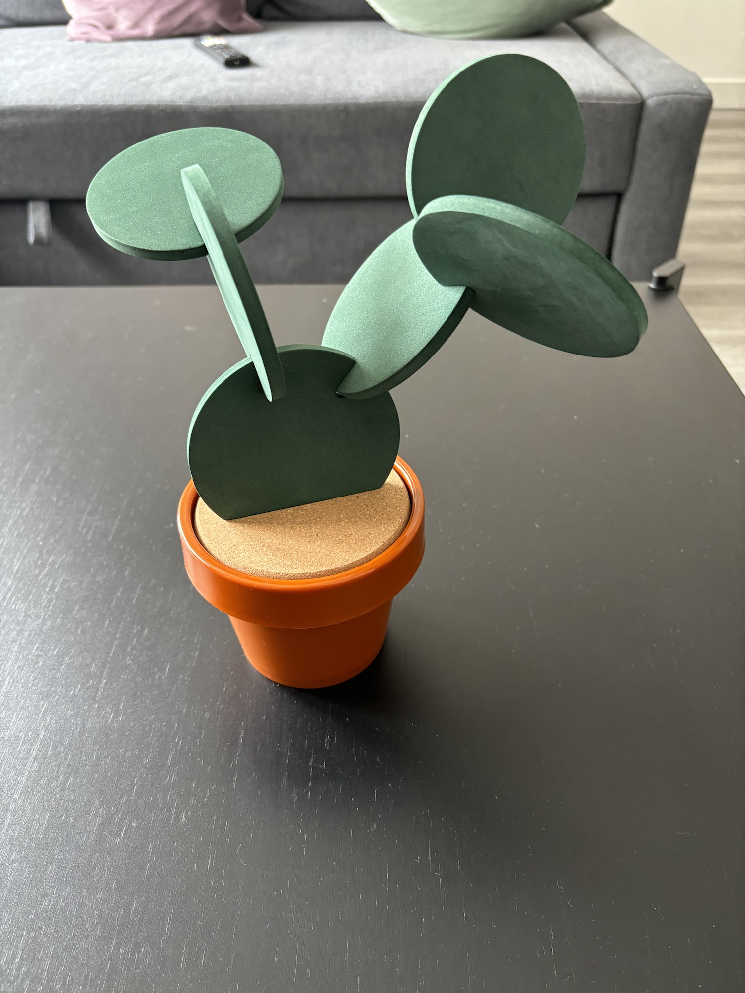 Cactus Coasters